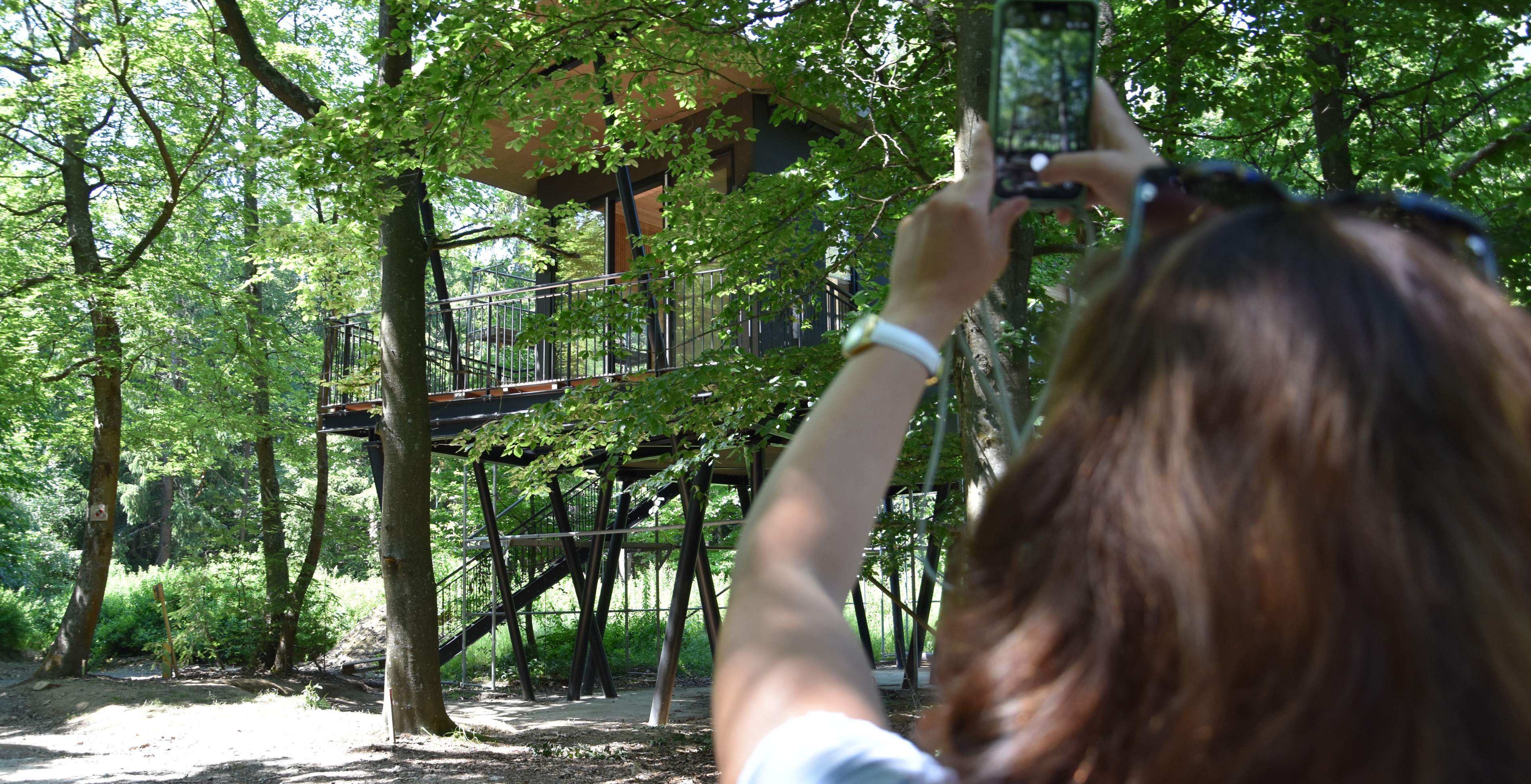Hero Image